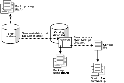 System diagram using control file as backup repository