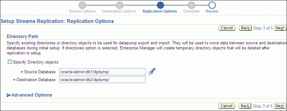 Description of tdpii_setup_rep_options.gif follows