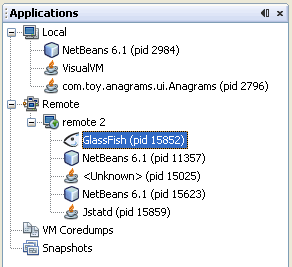 screenshot of Applications window with remote hosts