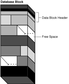 Description of Figure 12-11 follows