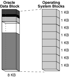 Description of Figure 12-6 follows