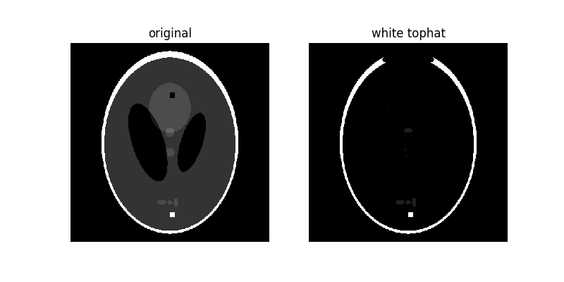 ../../_images/sphx_glr_plot_morphology_006.png