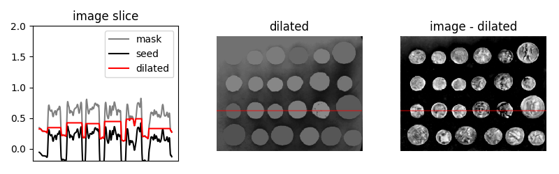 ../../_images/sphx_glr_plot_regional_maxima_002.png